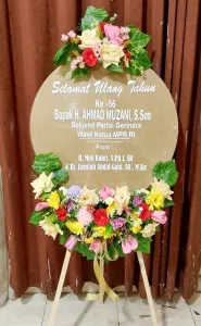 Ulang tahun Mimika